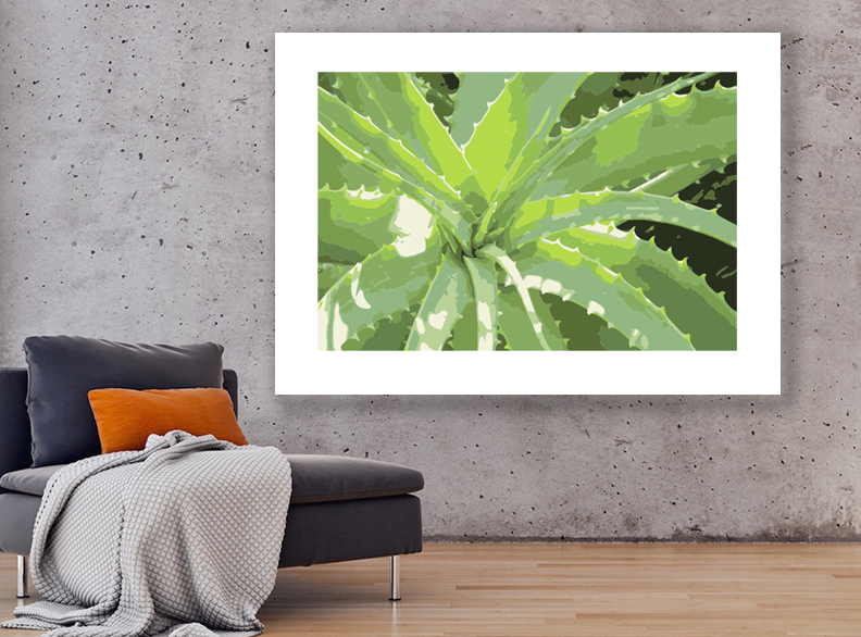 aloe close up2