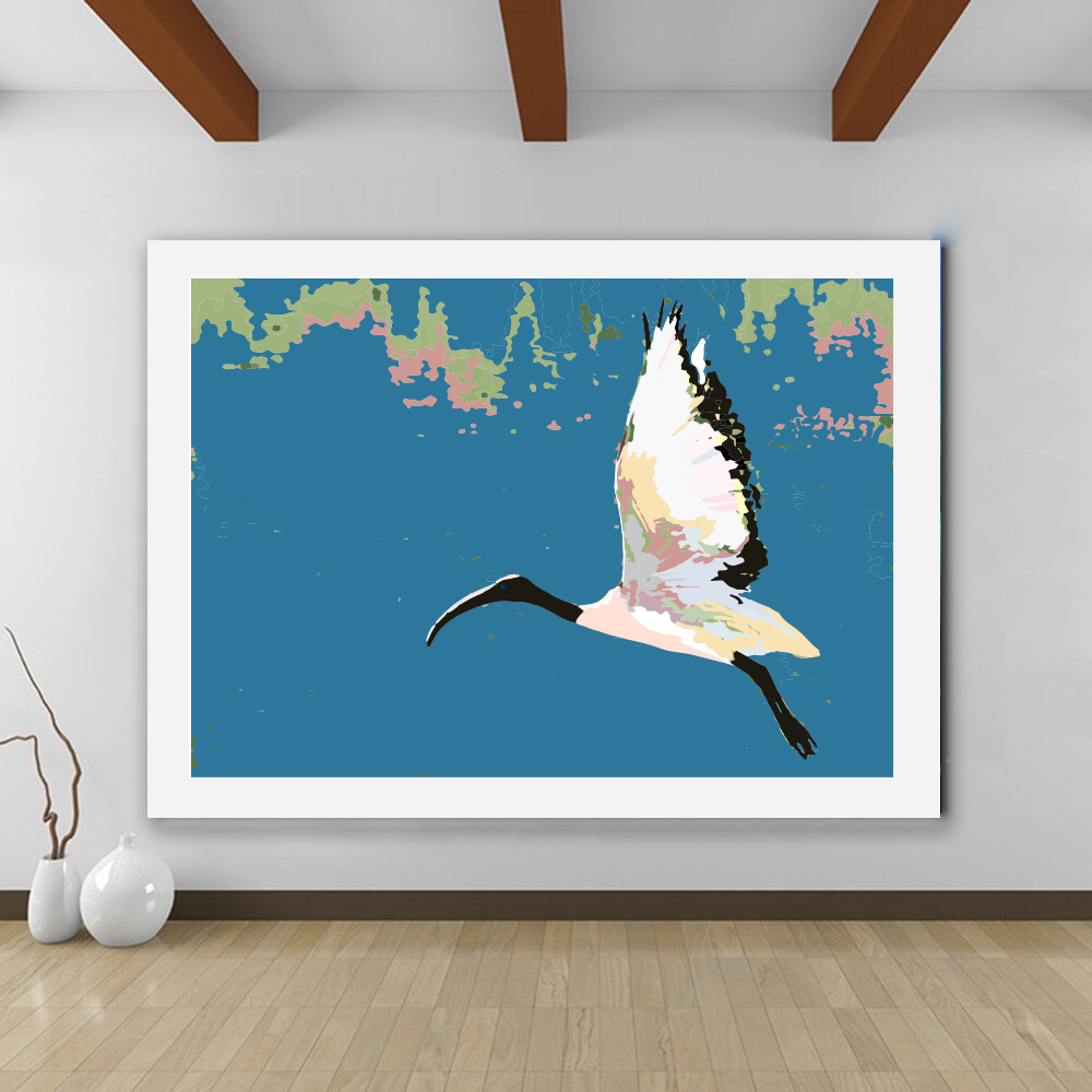 flying sacred ibis